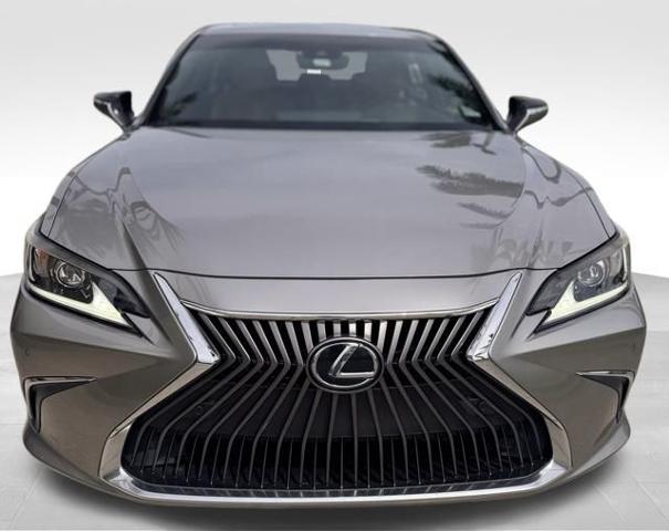 2019 Lexus ES Vehicle Photo in DELRAY BEACH, FL 33483-3294