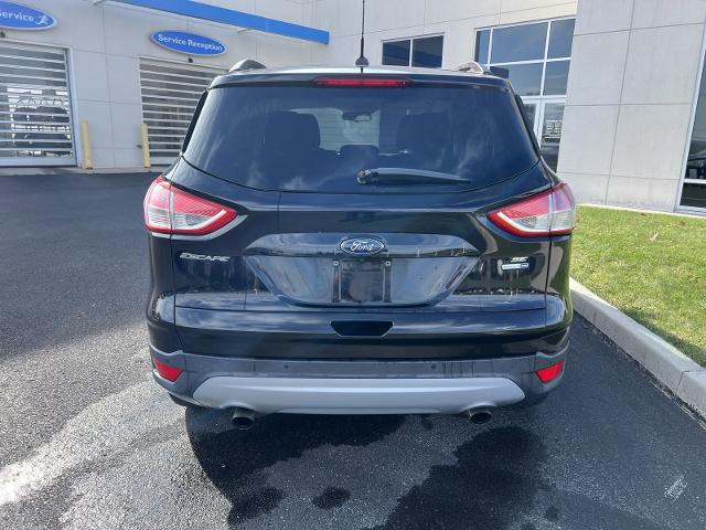 2016 Ford Escape Vehicle Photo in INDIANA, PA 15701-1897