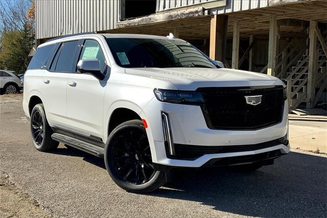 2024 Cadillac Escalade Vehicle Photo in KANSAS CITY, MO 64114-4545