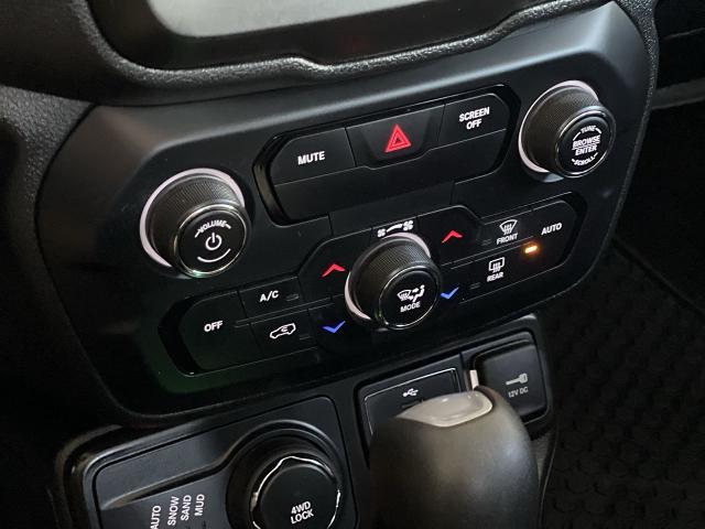 2020 Jeep Renegade Vehicle Photo in TURLOCK, CA 95380-4918