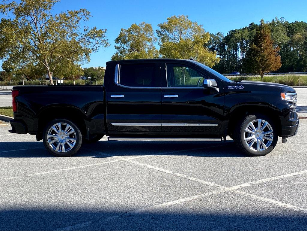 2025 Chevrolet Silverado 1500 Vehicle Photo in POOLER, GA 31322-3252