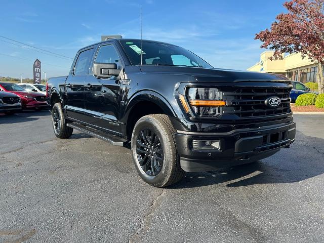 2024 Ford F-150 Vehicle Photo in Danville, KY 40422-2805