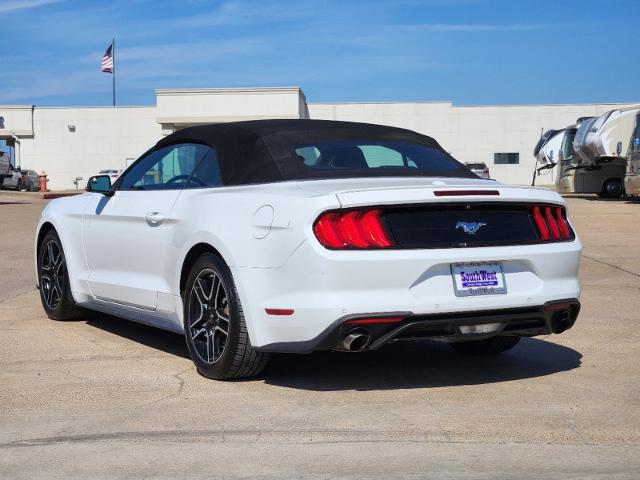 2019 Ford Mustang Vehicle Photo in Cleburne, TX 76033