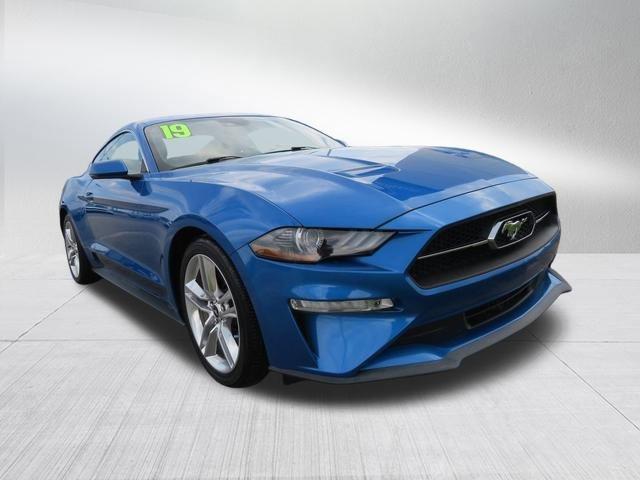 Used 2019 Ford Mustang EcoBoost Premium with VIN 1FA6P8TH2K5167350 for sale in Goldsboro, NC