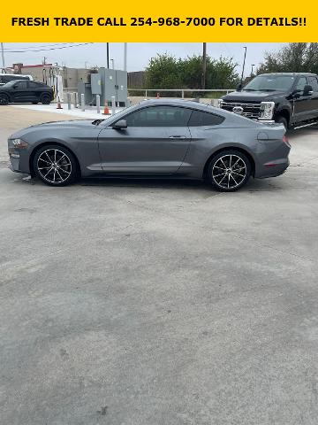 2022 Ford Mustang Vehicle Photo in STEPHENVILLE, TX 76401-3713