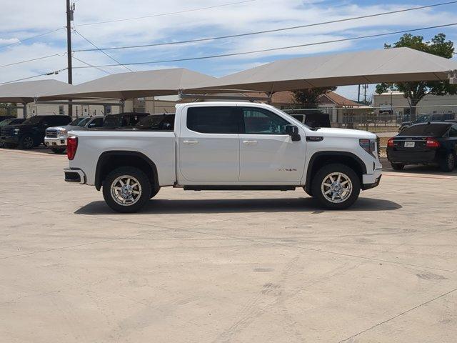 2023 GMC Sierra 1500 Vehicle Photo in SELMA, TX 78154-1460