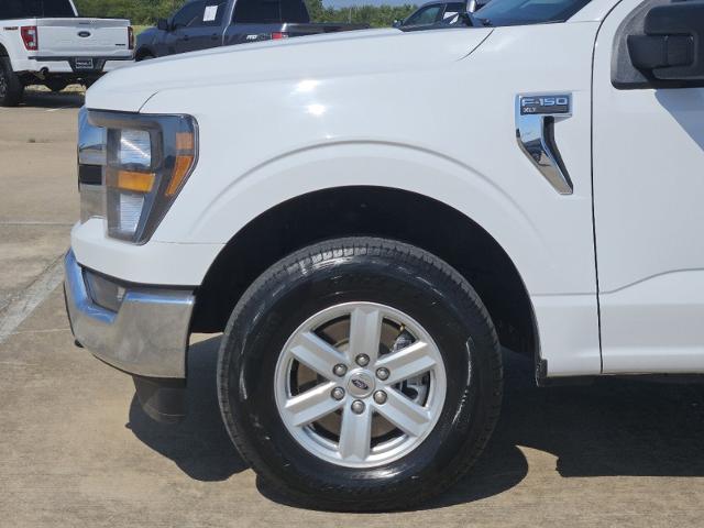 2023 Ford F-150 Vehicle Photo in Denison, TX 75020