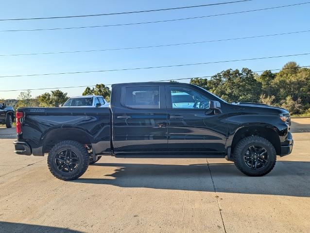 2024 Chevrolet Silverado 1500 Vehicle Photo in POMEROY, OH 45769-1023