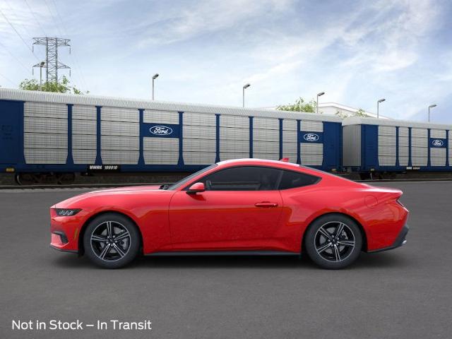 2024 Ford Mustang Vehicle Photo in Weatherford, TX 76087