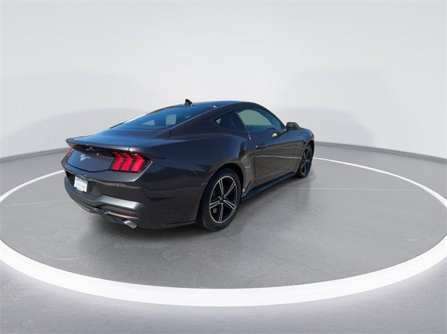 Used 2024 Ford Mustang EcoBoost with VIN 1FA6P8TH3R5107183 for sale in Bowling Green, KY