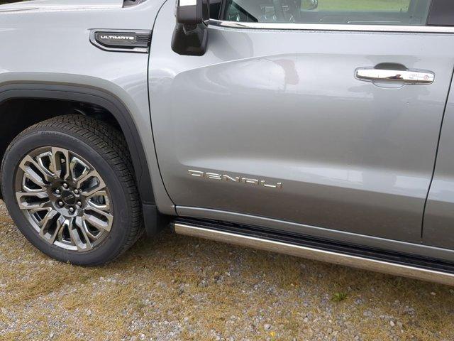 2025 GMC Sierra 1500 Vehicle Photo in ALBERTVILLE, AL 35950-0246