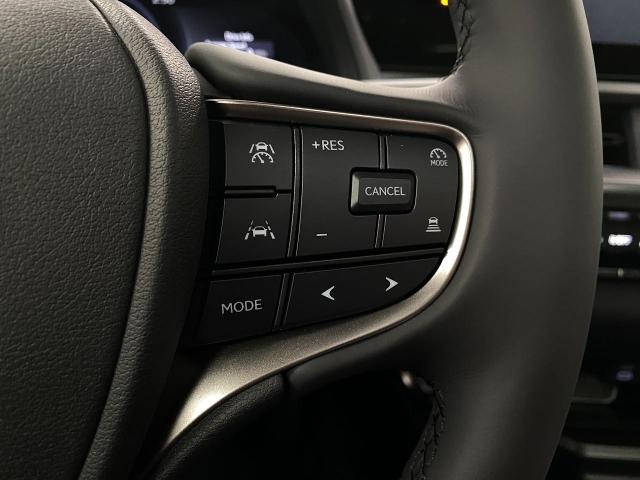 2025 Lexus UX 300h Vehicle Photo in Appleton, WI 54913