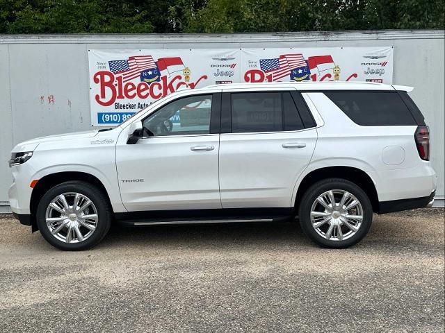 2024 Chevrolet Tahoe Vehicle Photo in DUNN, NC 28334-8900