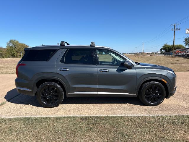 2023 Hyundai PALISADE Vehicle Photo in Denison, TX 75020