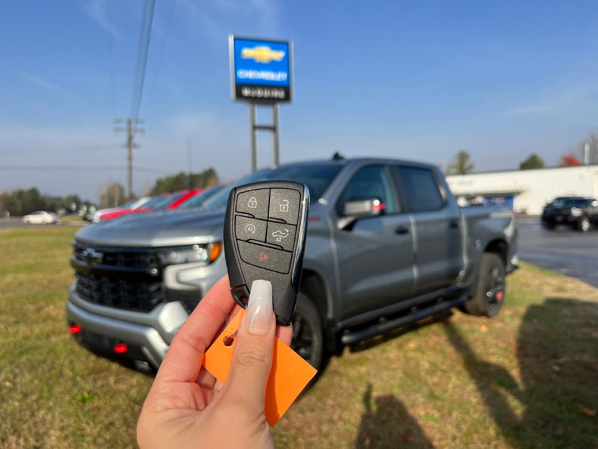 2025 Chevrolet Silverado 1500 Vehicle Photo in CLARE, MI 48617-9414