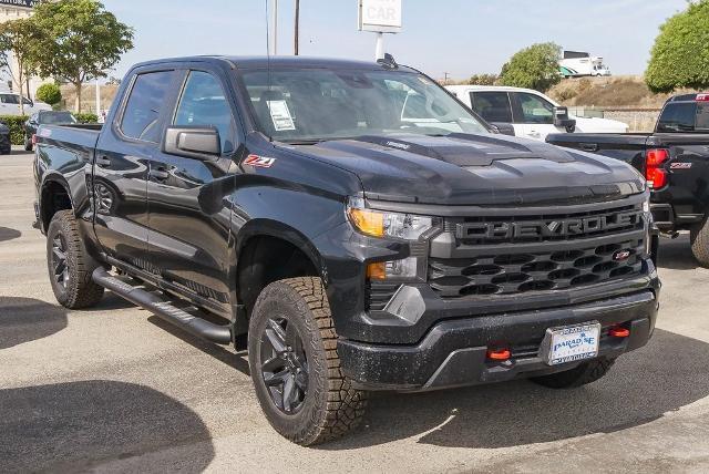 2025 Chevrolet Silverado 1500 Vehicle Photo in VENTURA, CA 93003-8585