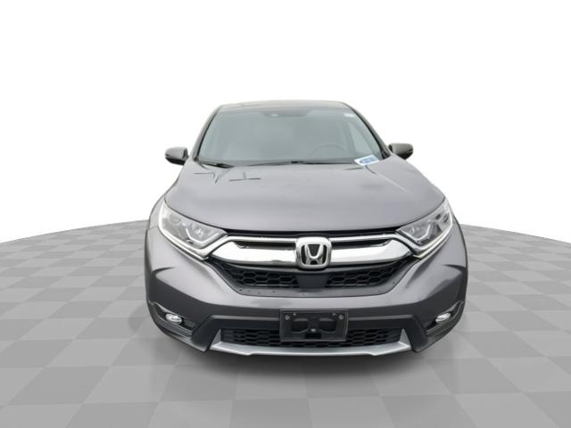 2019 Honda CR-V Vehicle Photo in WILLIAMSVILLE, NY 14221-4303