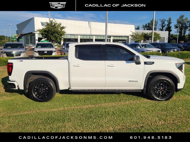 2023 GMC Sierra 1500 Vehicle Photo in RIDGELAND, MS 39157-4406