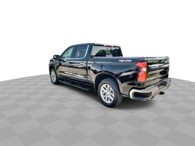 2019 Chevrolet Silverado 1500 Vehicle Photo in WILLIAMSVILLE, NY 14221-2883