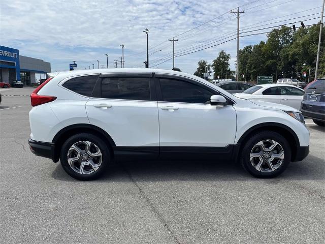 2019 Honda CR-V Vehicle Photo in ALCOA, TN 37701-3235