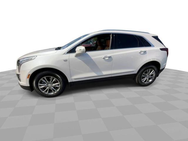 2022 Cadillac XT5 Vehicle Photo in WILLIAMSVILLE, NY 14221-4303