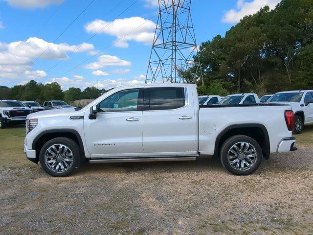 2025 GMC Sierra 1500 Vehicle Photo in ALBERTVILLE, AL 35950-0246