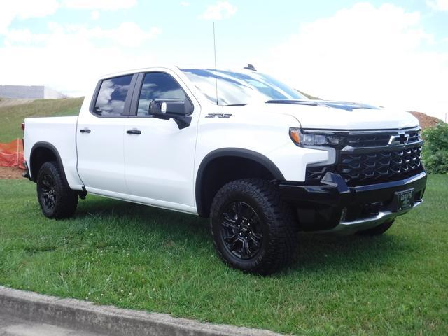 2024 Chevrolet Silverado 1500 Vehicle Photo in JASPER, GA 30143-8655