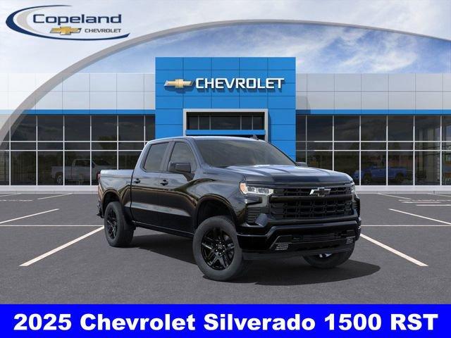 2025 Chevrolet Silverado 1500 Vehicle Photo in BROCKTON, MA 02301-7113