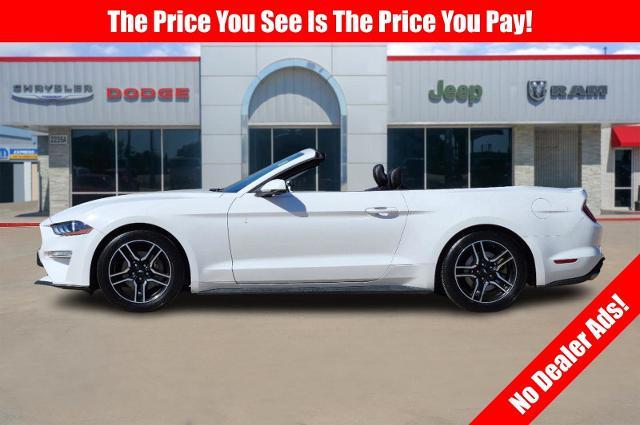 2019 Ford Mustang Vehicle Photo in Cleburne, TX 76033