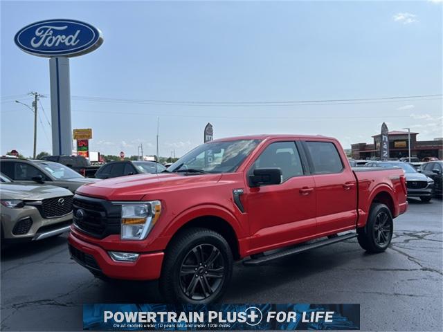 2021 Ford F-150 Vehicle Photo in Danville, KY 40422