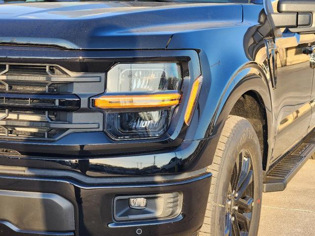 2024 Ford F-150 Vehicle Photo in Pilot Point, TX 76258