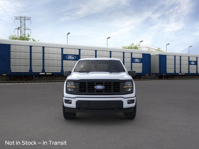 2024 Ford F-150 Vehicle Photo in Weatherford, TX 76087-8771