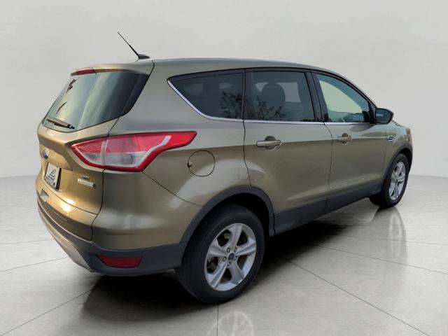 2013 Ford Escape Vehicle Photo in Green Bay, WI 54304