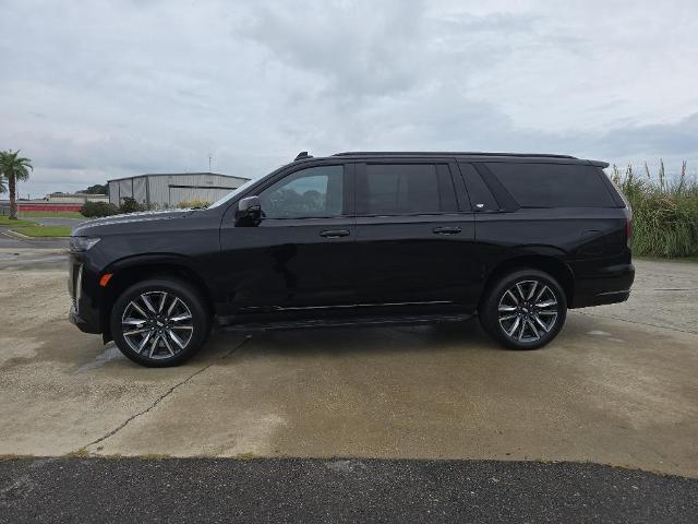 2021 Cadillac Escalade ESV Vehicle Photo in BROUSSARD, LA 70518-0000