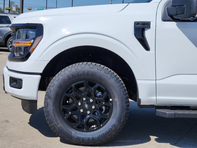 2024 Ford F-150 Vehicle Photo in Pilot Point, TX 76258