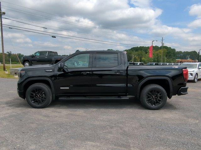 2025 GMC Sierra 1500 Vehicle Photo in ALBERTVILLE, AL 35950-0246