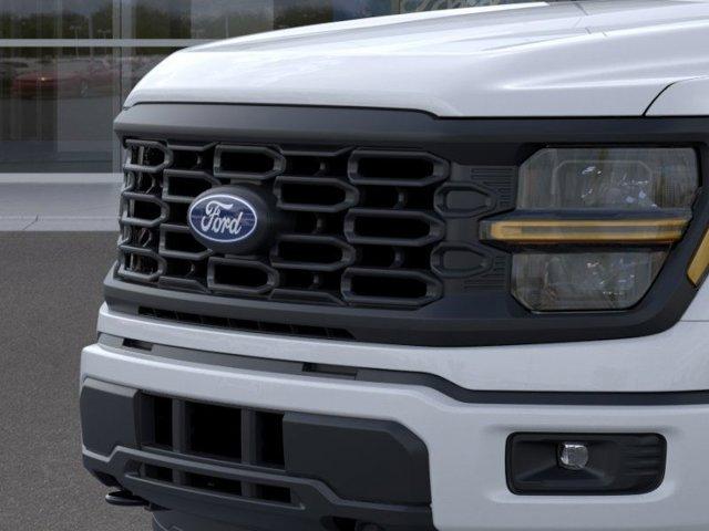 2024 Ford F-150 Vehicle Photo in Boyertown, PA 19512