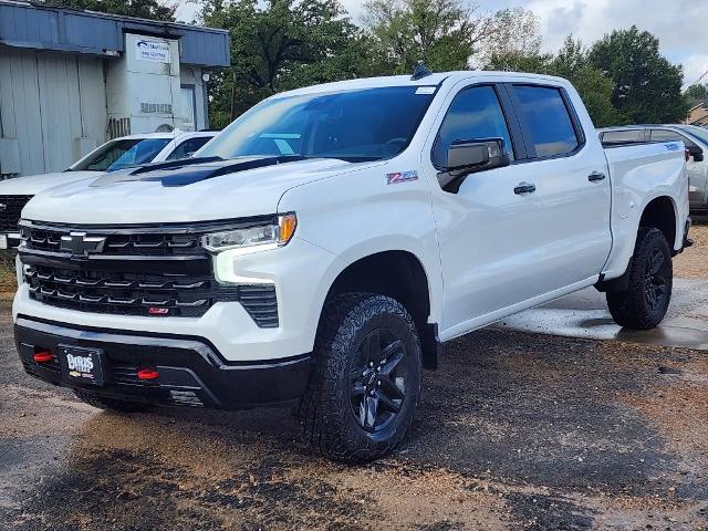 2024 Chevrolet Silverado 1500 Vehicle Photo in PARIS, TX 75460-2116