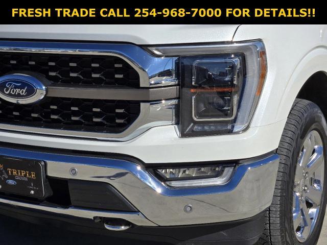 2022 Ford F-150 Vehicle Photo in STEPHENVILLE, TX 76401-3713