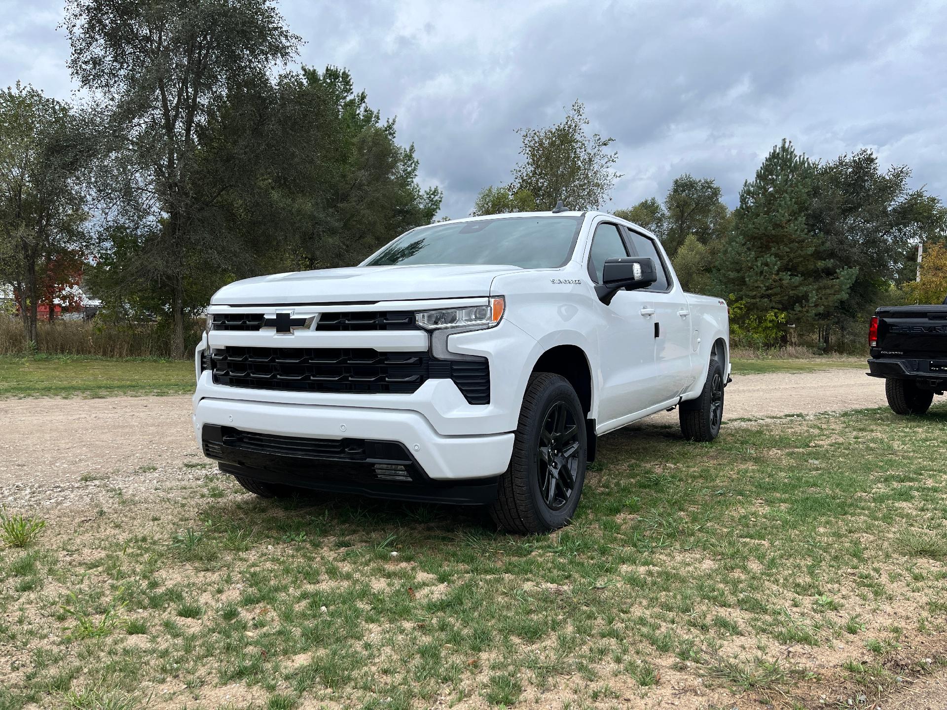 2025 Chevrolet Silverado 1500 Vehicle Photo in CLARE, MI 48617-9414