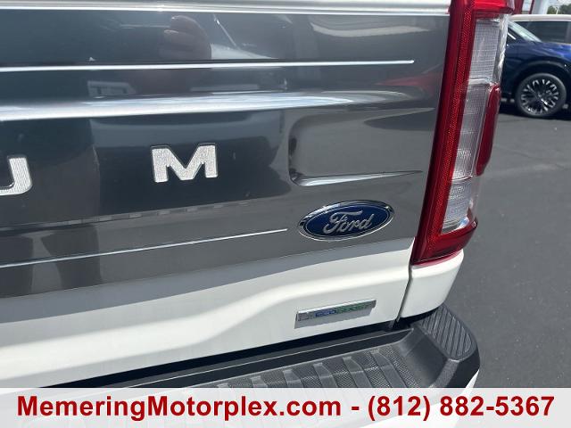 2023 Ford F-150 Vehicle Photo in VINCENNES, IN 47591-5519