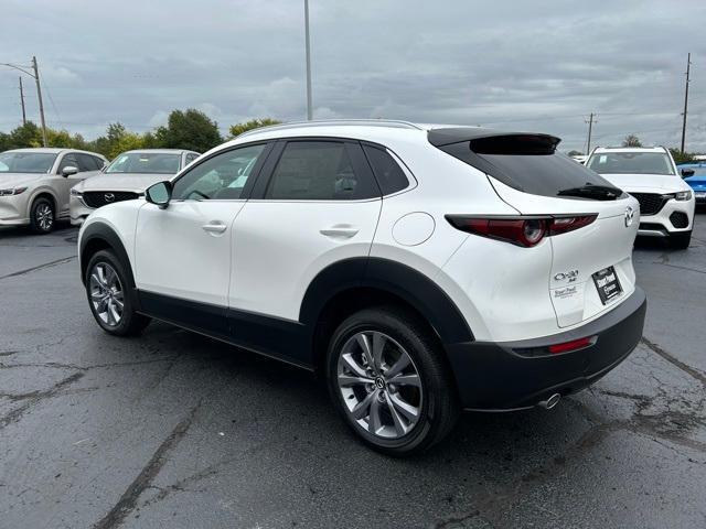 2025 Mazda CX-30 Vehicle Photo in Danville, KY 40422-2805