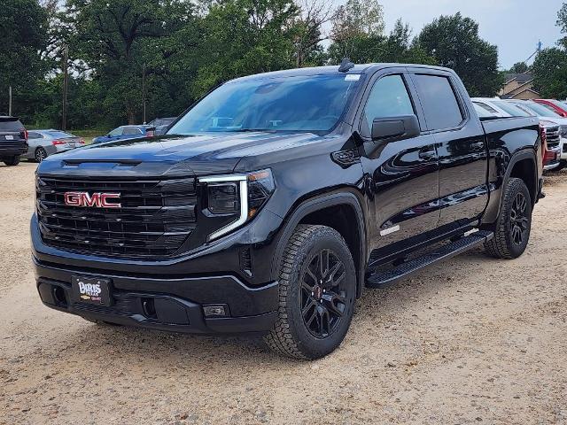 2024 GMC Sierra 1500 Vehicle Photo in PARIS, TX 75460-2116