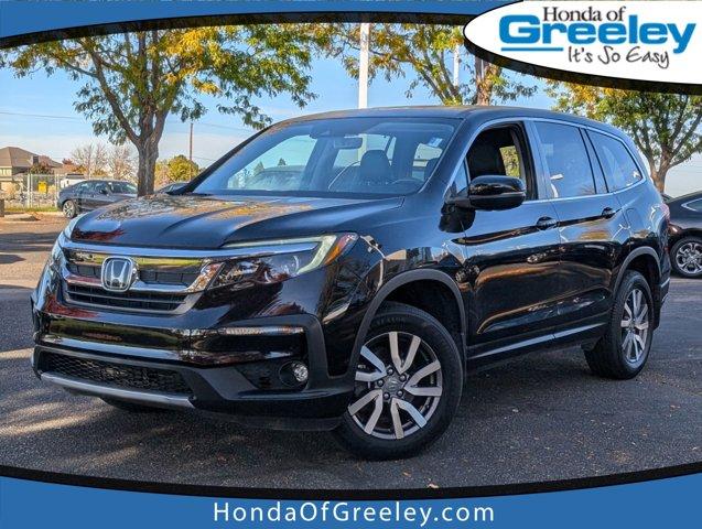 2022 Honda Pilot Vehicle Photo in Greeley, CO 80634-8763