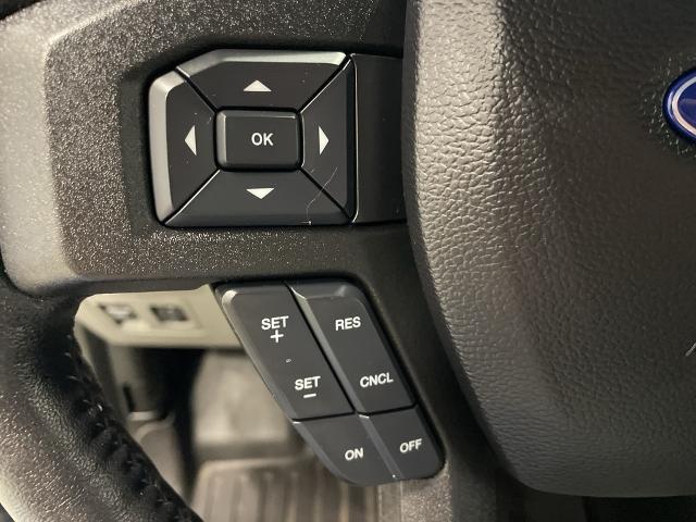 2019 Ford F-150 Vehicle Photo in ROGERS, MN 55374-9422