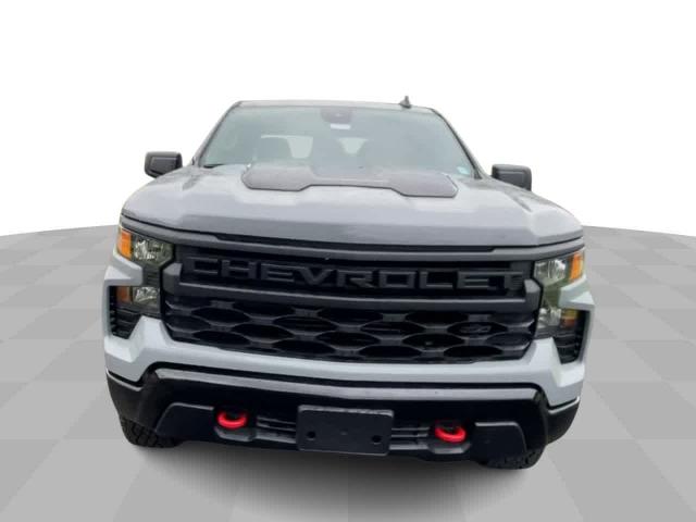 2024 Chevrolet Silverado 1500 Vehicle Photo in THOMPSONTOWN, PA 17094-9014