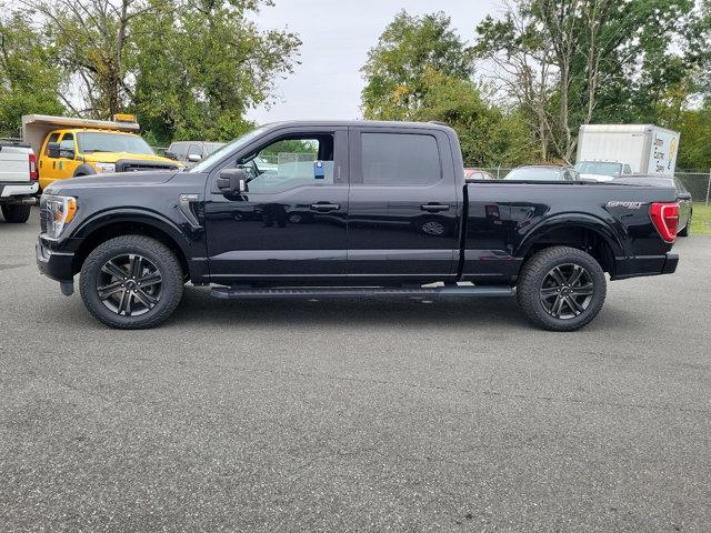 2021 Ford F-150 Vehicle Photo in Boyertown, PA 19512