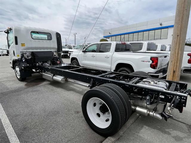 2024 Chevrolet Low Cab Forward 4500 Vehicle Photo in ALCOA, TN 37701-3235