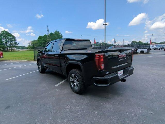 2024 GMC Sierra 1500 Vehicle Photo in ALBERTVILLE, AL 35950-0246