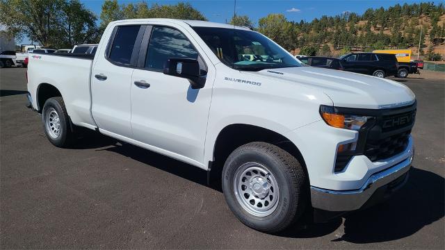 2024 Chevrolet Silverado 1500 Vehicle Photo in FLAGSTAFF, AZ 86001-6214